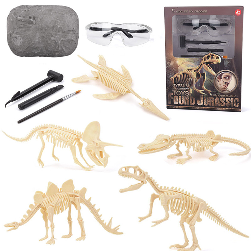 Science Kit - Kit de Escavação de Fósseis de