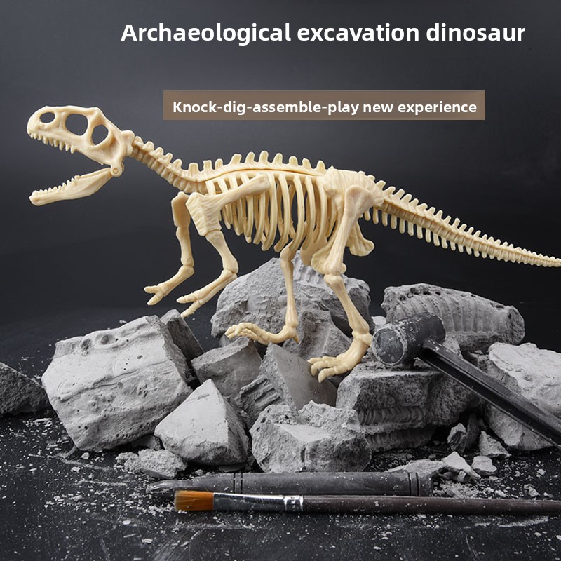 Kit de Escavação de Fósseis de - Science Kit avaliação e preço